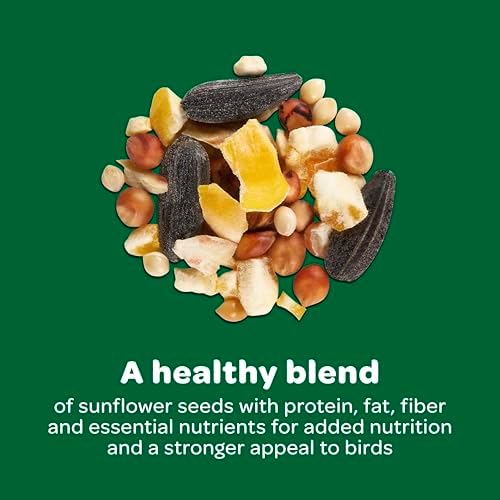 Kaytee Wild Bird Food Basic Seed Blend, 5 lb