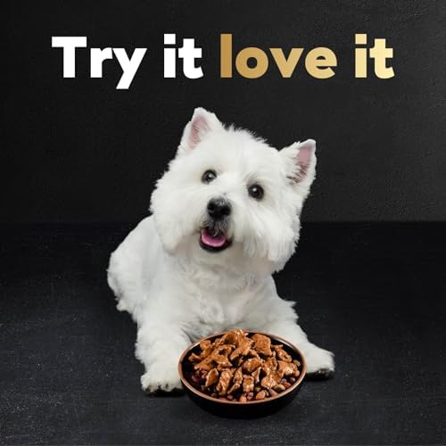 Cesar Filets in Gravy Wet Dog Food Filet Mignon Flavor and Rotisserie Chicken Flavor Variety Pack, 1.76 oz. Mini-Pouches (20 Count, Pack of 2)