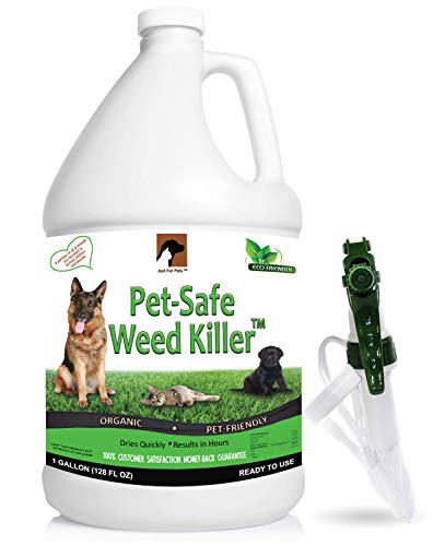 Weed Killer Spray (128 oz Gallon) NO Glyphosate