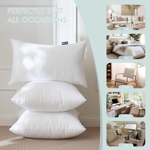 MIULEE Set of 2 Throw Pillow Inserts 20x20 Inches, Nowoven Decorative Pillow Inserts for Living Room