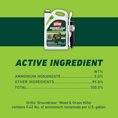 Ortho GroundClear Weed and Grass Killer with Comfort Wand, Kills Dandelions, Chickweed, Crabgrass, Moss and More in Patios and Landscapes, OMRI Listed, 1 gal.