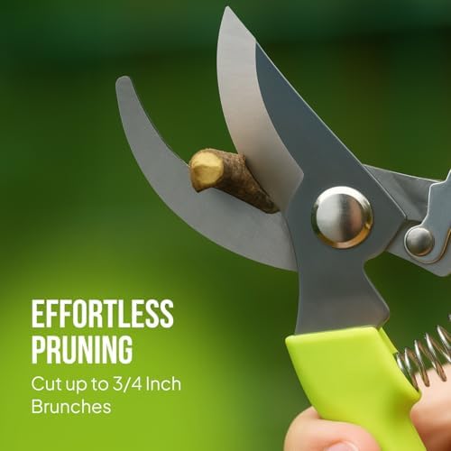 2-Pack Stainless Steel Gardening Scissors, Pruning Shears and Clippers for Gardening