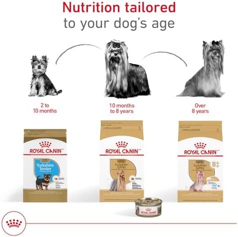 Royal Canin Yorkshire Terrier Adult Dry Dog Food, 10 lb bag