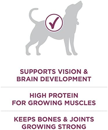 Purina ONE Plus Healthy Puppy Formula High Protein Natural Dry Puppy Food with added vitamins, minerals and nutrients - 16.5 lb. Bag