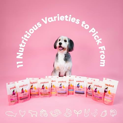 Pupford Freeze Dried Training Treats for Dogs & Puppies, 475+ Two Ingredient Bites (Chicken, 4 oz)