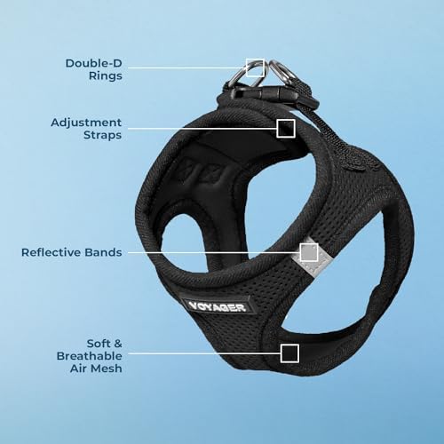 Voyager Step-In Air Dog Harness - All Weather Mesh, Reflective, No Pull Harness for Small, Medium Dogs, Cats - Secure with Hook & Loop Fastener, Buckle, Double D-Rings - Black/Black Trim, XS