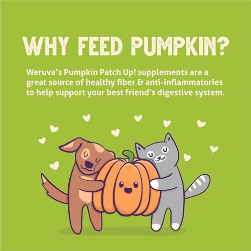 Weruva Pumpkin Patch Up!, Pumpkin Puree Pet Food Supplement for Dogs & Cats, 2.80oz Pouch (Pack of 12)