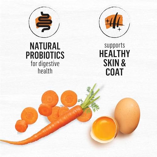 Purina Beyond Grain Free White Meat Chicken and Egg Recipe Natural Cat Food High Protein Cat Food Dry Formula - 5 lb. Bag