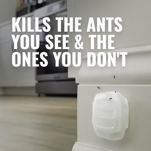 Terro T334B Liquid Ant Baits Indoor - Terro Ant Trap and Bait Stations - 8 Liquid Traps