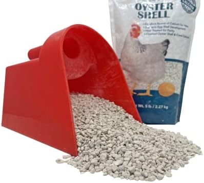 Pecking Order Oyster Shell - Calcium Supplement to Support Laying Hens and Strong Egg Shell Development (5 LB) (Pack of 2)
