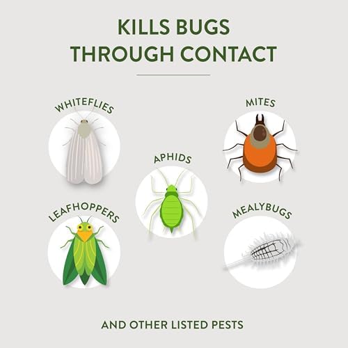 Garden Safe 32 oz. Insecticidal Soap Ready-to-Use, 1 Count (Pack of 1)