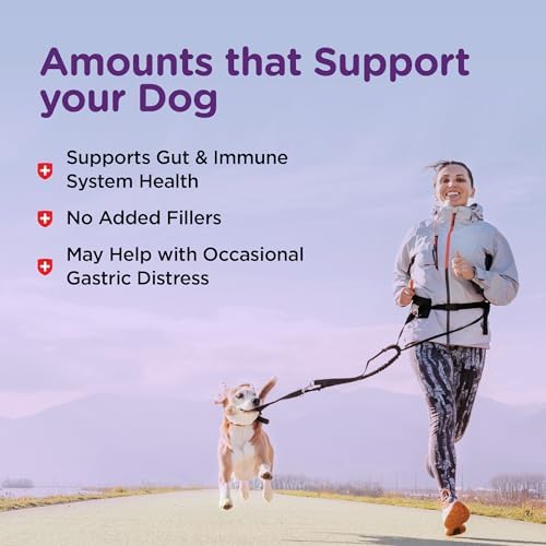 Nutri-Vet Pre & Probiotics for Dogs, Digestive Support, Upset Stomach, Puppy Probiotic, Pet Vitamins and Supplements, Dog Probiotics, Liver & Cheese Flavor, 120 Soft Chews