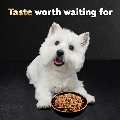 Cesar Home Delights Adult Wet Dog Food, Pot Roast with Spring Vegetables, Beef Stew, Turkey, Green Beans, & Potatoes, and Hearty Chicken & Noodle Variety Pack, 3.5 oz. (24 Count, Pack of 1)