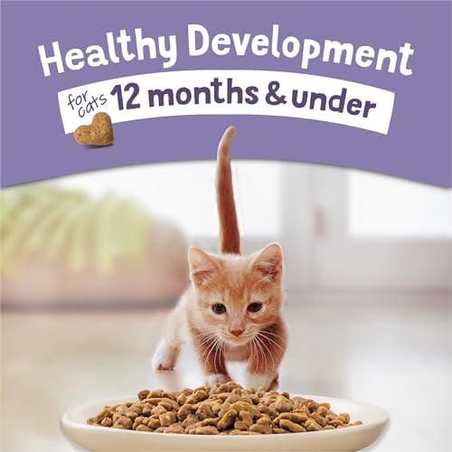 Purina Kitten Chow 14lb