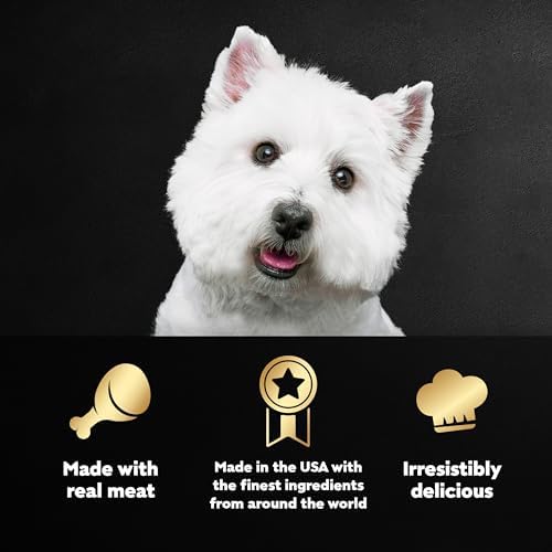 Cesar Wet Dog Food Steak Lovers Variety Pack with Real Meat, 3.5 oz. Trays (36 Count, Pack of 1)