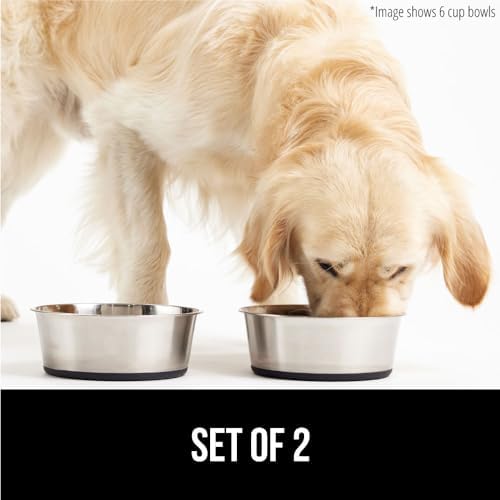 GORILLA GRIP Set of 2 Dog Bowls, Heavy Duty Metal Food and Water Bowl for Feeding Dogs and Cats, Dishwasher Safe, Rust Resistant Stainless Steel, BPA Free Rubber Base, Holds 2 Cups (16 fl oz), Black