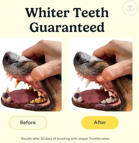 Jasper Dog Toothbrush, 360 Dog Tooth Brushing Kit, Finger Toothbrush, Cat Tooth Brush, Teeth Cleaning, Pet Tooth Brush for Small & Large Pets, Pet Toothpaste Not Included, 2-Pack Blue