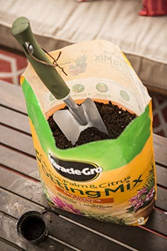 Miracle-Gro Cactus, Palm and Citrus Potting Mix, for Indoor or Outdoor Potted Plants, Great for Succulents, 8 qt., 2-Pack