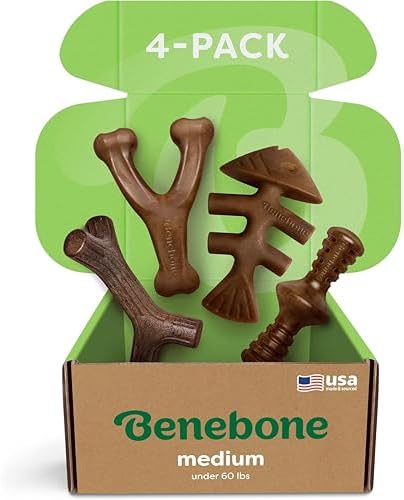Benebone Medium 4-Pack Dog Chew Toys for Aggressive Chewers, Made in USA, 60lbs and Under