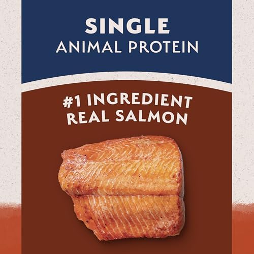 Natural Balance Limited Ingredient Adult Grain-Free Dry Dog Food, Salmon & Sweet Potato Recipe, 24 Pound (Pack of 1)