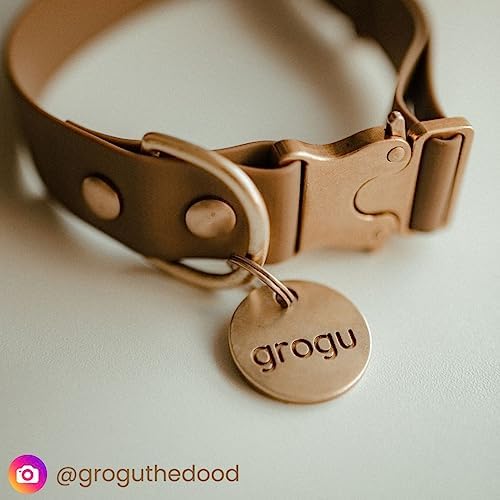 Solid Brass PET TAG - Modern, Minimal Pet IDs. Durable, Lifetime Tags with deep Cut Text. Includes Space for Two Phone Numbers. (Circle)