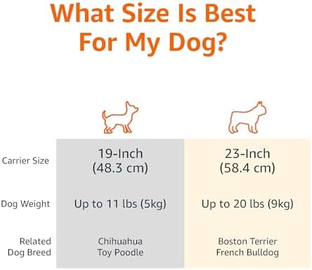 Amazon Basics 2-Door Top-Load Hard-Sided Dogs, Cats Pet Travel Carrier, Gray & Blue, 22.8"L x 15.0"W x 13.0"H
