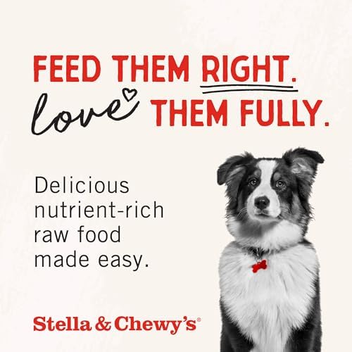 Stella & Chewy's Freeze-Dried Raw Beef Heart Dog Treats - Single Ingredient, No Additives - Premium Training Treats - Perfect For Picky Eaters - 3oz Bag