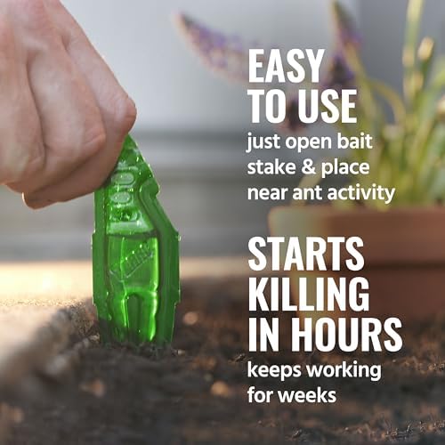 TERRO Liquid Ant Baits - T1813 - Outdoor Ready-to-Use Terro Ant Traps - Pack of 12 Liquid Traps