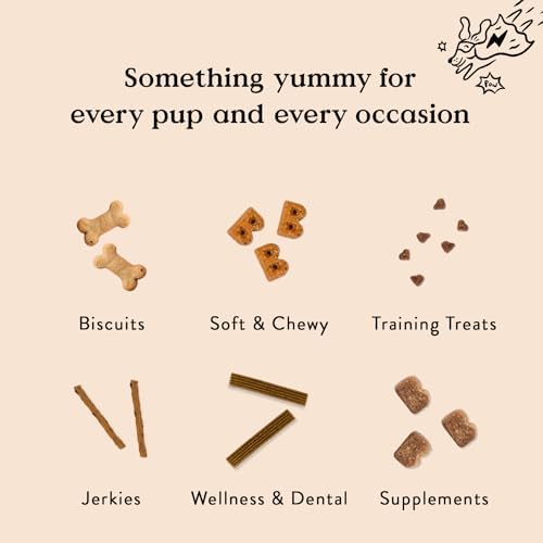 Bocce's Bakery Bac'n Nutty Soft & Chewy Dog Treats, Wheat-Free PB & Bacon Flavored All Natural Limited Ingredient Oven Baked Cookies for Dogs, 12 oz