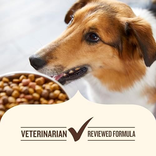 Nutrish Dish Premium Dry Dog Food, Chicken & Brown Rice Recipe with Veggies & Fruit, 23 Pounds