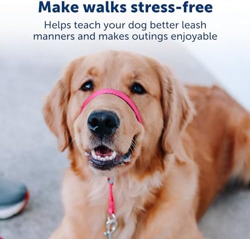PetSafe Gentle Leader No-Pull Dog Headcollar - The Ultimate Solution to Pulling - Redirects Your Dog's Pulling for Easier Walks - Helps You Regain Control - Large, Charcoal
