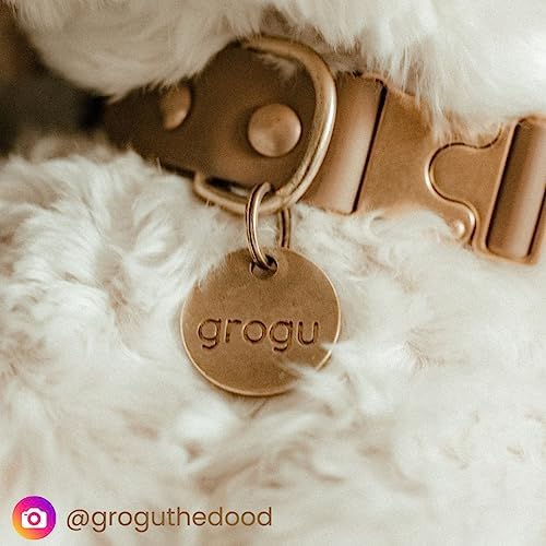 Solid Brass PET TAG - Modern, Minimal Pet IDs. Durable, Lifetime Tags with deep Cut Text. Includes Space for Two Phone Numbers. (Circle)