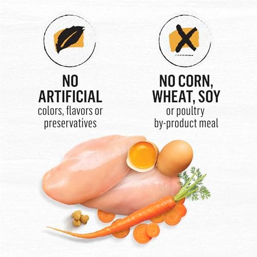 Purina Beyond Grain Free White Meat Chicken and Egg Recipe Natural Cat Food High Protein Cat Food Dry Formula - 5 lb. Bag