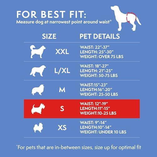 Simple Solution Female Dog Diapers – Disposable Diapers for Potty Training, Incontinence, and Heat Cycle Protection – Leak-Proof Fit for Small Dogs, 12–19 Inch Waist – 30 Count