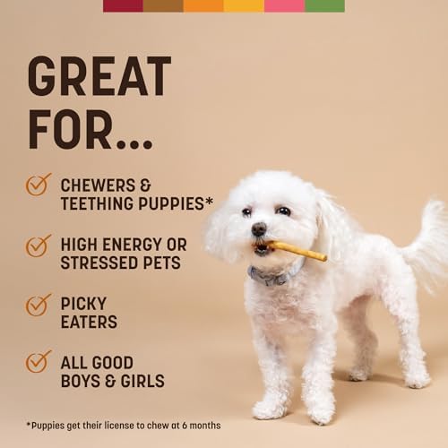 Earth Animal No Hide Stix Chicken Flavored Natural Rawhide Free Dog Chews Long Lasting Chew Sticks | Treats for Small Dogs and Cats | Great for Aggressive Chewers 4.8 Oz