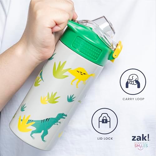 Zak Designs Bluey Sage Kids Water Bottle For School or Travel, 14oz Stainless Steel Water Bottle With Straw, Handle, and Leak-Proof, Pop-Up Spout Cover (Bluey & Bingo)