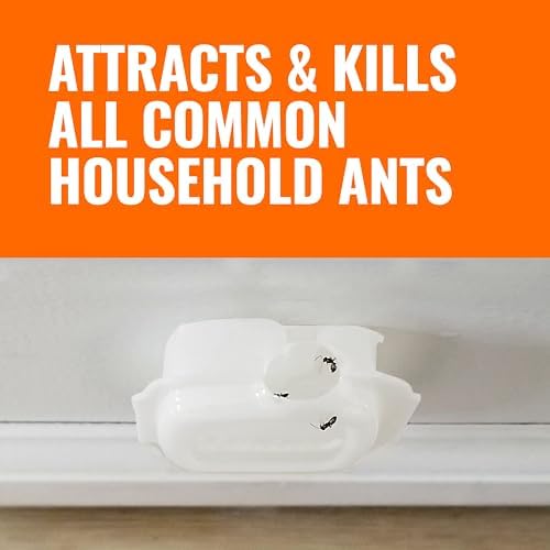 Terro T334B Liquid Ant Baits Indoor - Terro Ant Trap and Bait Stations - 8 Liquid Traps