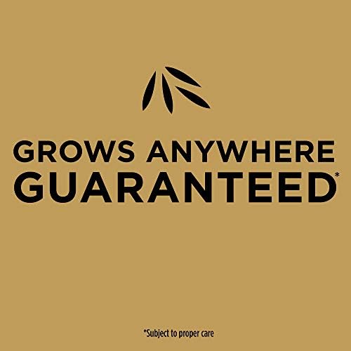 Scotts EZ Seed Patch & Repair Sun and Shade Mulch, Grass Seed, Fertilizer Combination for Bare Spots and Repair, 3.75 lb, Brown