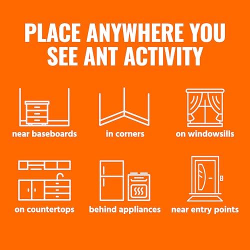 TERRO Ant Killer Bait Stations T300B - Liquid Bait to Eliminate Ants - 12 Count Stations for Effective Indoor Ant Control