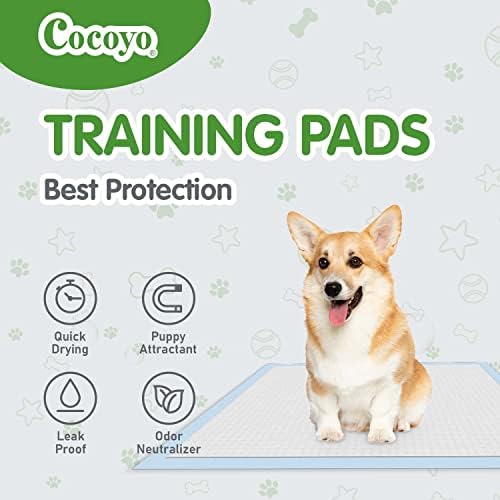 COCOYO Best Value Dog Training Pads | Dog Pee Pads | Super Absorbent Puppy Pads (17.5" x 23.5", 100 Count),Blue