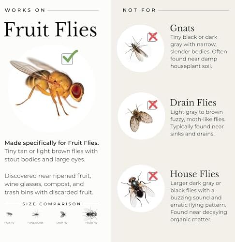 Wondercide - Fruit Fly Traps for Indoors - Fruit Fly Killer - Pet and People Safe - Made in USA & Plant Based - 5.4 oz - 2 Pack