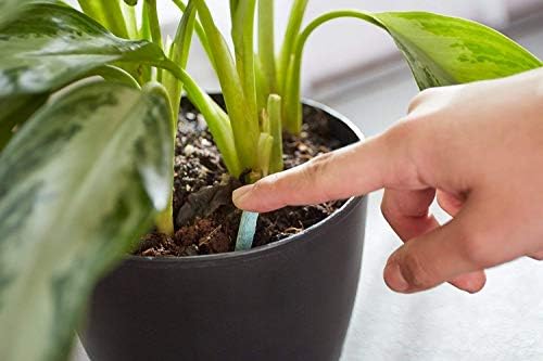 Scotts Indoor Plant Food Spikes, Includes 48 Spikes - Continuous Feeding for all Flowering and Foliage Houseplants - NPK 6-12-6, 48 Count (Pack of 12)