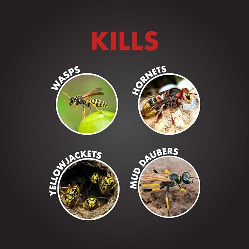 Spectracide PRO Wasp& Hornet Killer 18oz (Pack of 12)