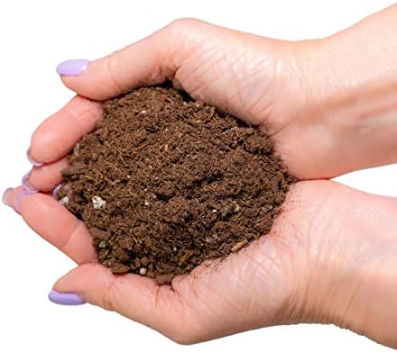 Premium Monstera Potting Soil - Quick Drain Potting Soil for Growing and Repotting Monstera Deliciosa/Swiss Cheese Plant - 1 Quart Bag