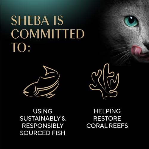Sheba Perfect Portions Kitten Wet Cat Food Pate Chicken Entree and Salmon Entree, 2.6 oz. Twin-Pack Trays (12 Count, 24 Servings) (Pack of 2)