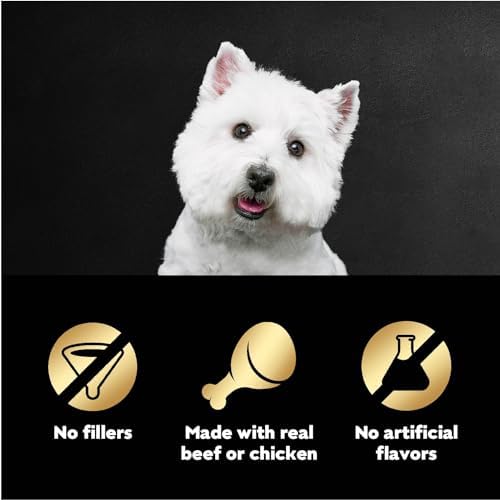 Cesar Filets in Gravy Wet Dog Food Filet Mignon Flavor and Rotisserie Chicken Flavor Variety Pack, 1.76 oz. Mini-Pouches (20 Count, Pack of 2)