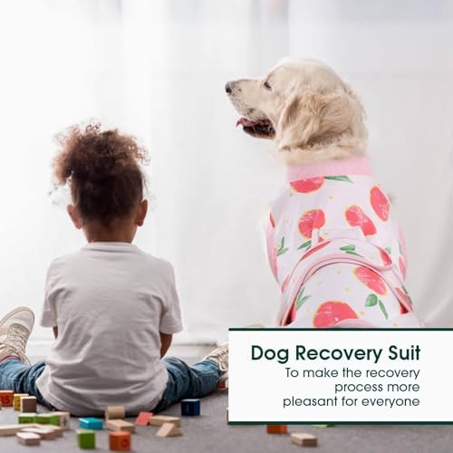 Kuoser Dog Onesie for Surgery Female, Surgical Onesie for Dogs, Female & Male Post-Op Wear, Recovery Suit for Dogs After Surgery Breathable Pet Surgery Suit, Pink XL