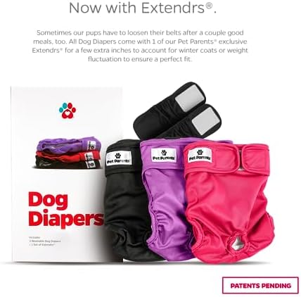 Pet Parents® Washable Dog Diapers (3pack) + Extendrs® of Durable Doggie Diapers, Premium Dog Diapers Female (Medium, Princess)