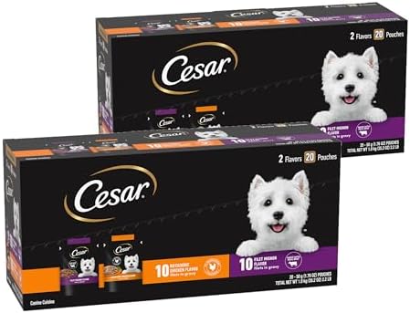 Cesar Filets in Gravy Wet Dog Food Filet Mignon Flavor and Rotisserie Chicken Flavor Variety Pack, 1.76 oz. Mini-Pouches (20 Count, Pack of 2)