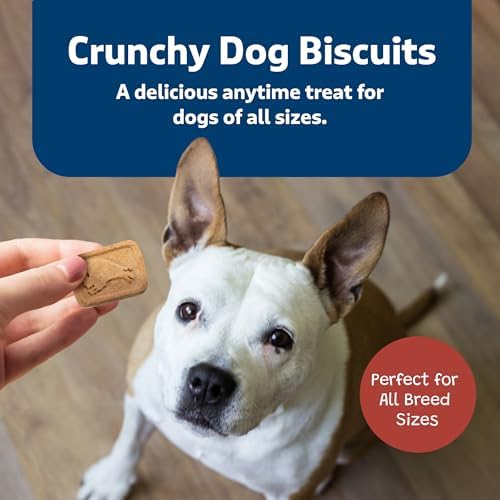 Blue Buffalo Health Bars Crunchy Dog Biscuits, Oven-Baked With Natural Ingredients, Bacon, Egg & Cheese, 3.5-lb Box